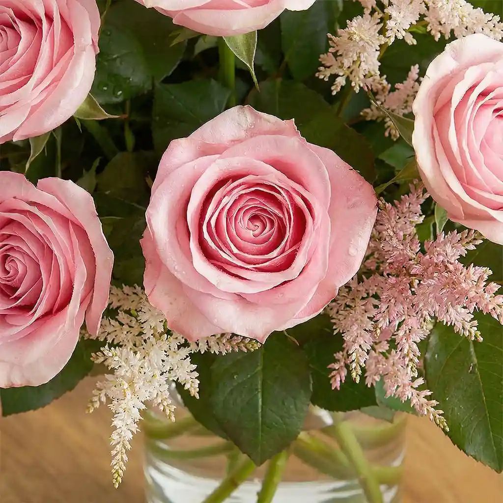 12 Pink Roses