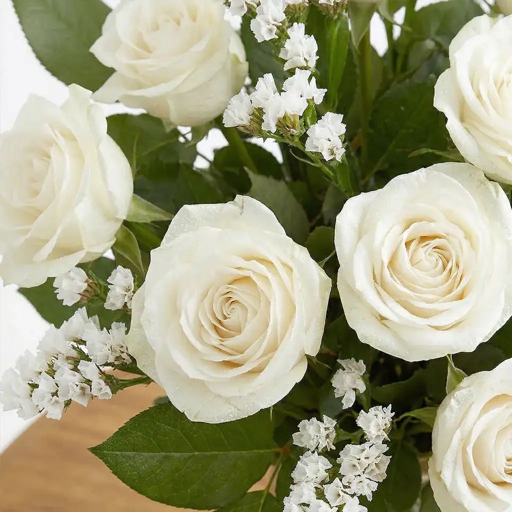 12 White Roses