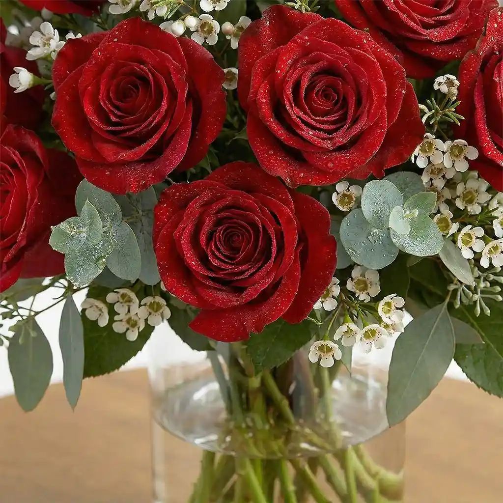 24 Red Roses