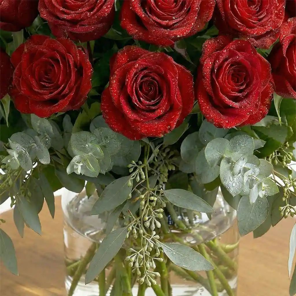 50 Red Roses