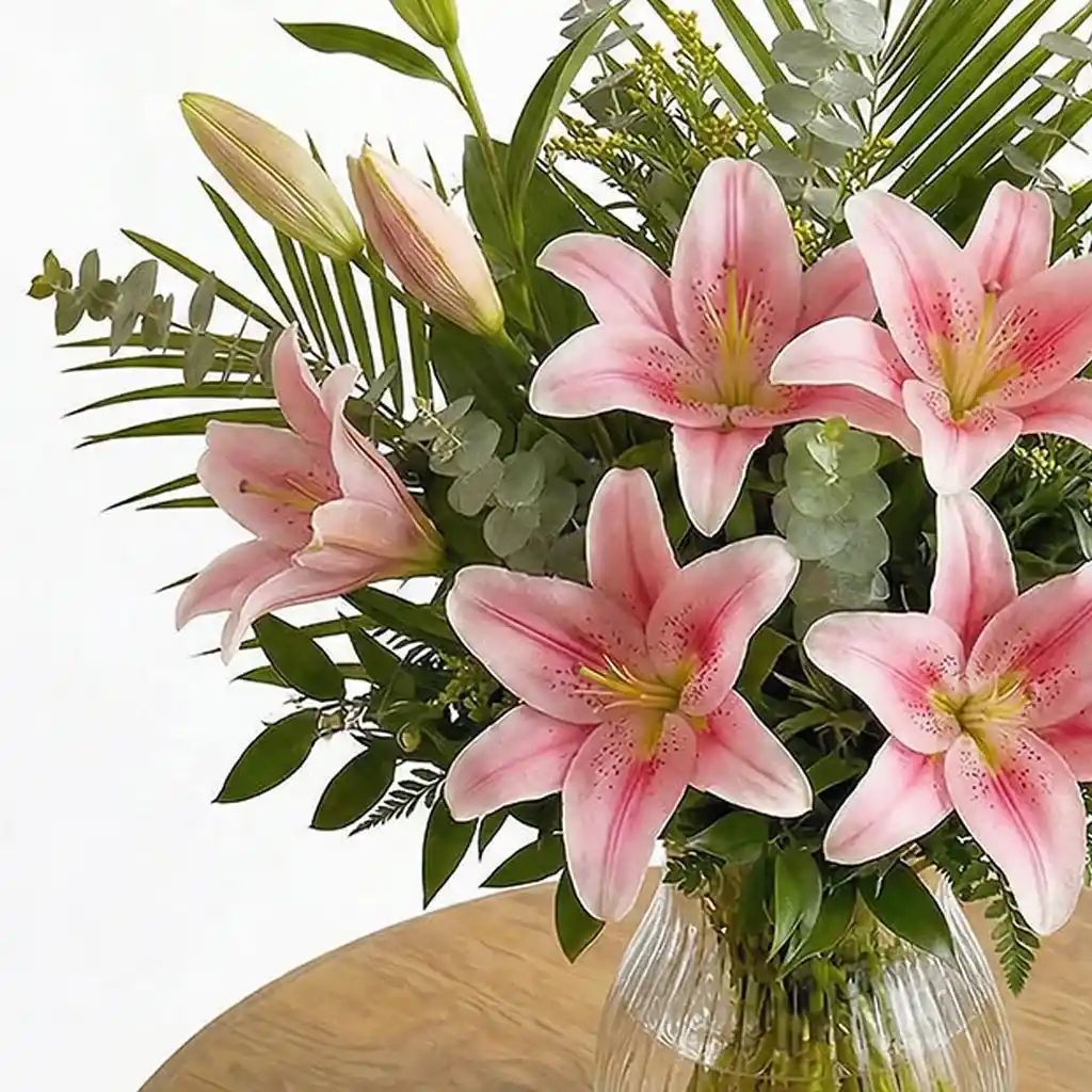 Blush Lilies