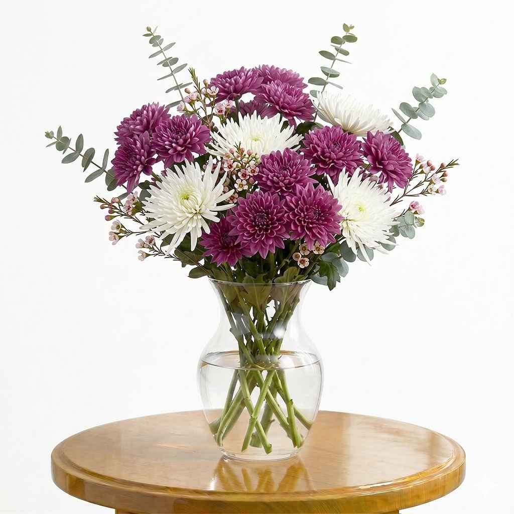 Chrysanthemums Dream
