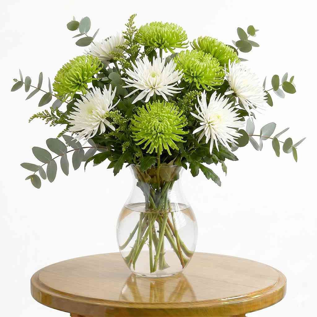 Chrysanthemums Jade