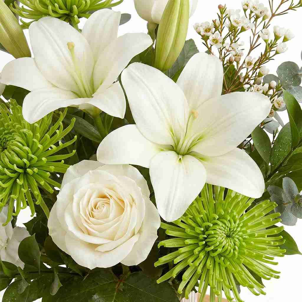 Fresh Promise