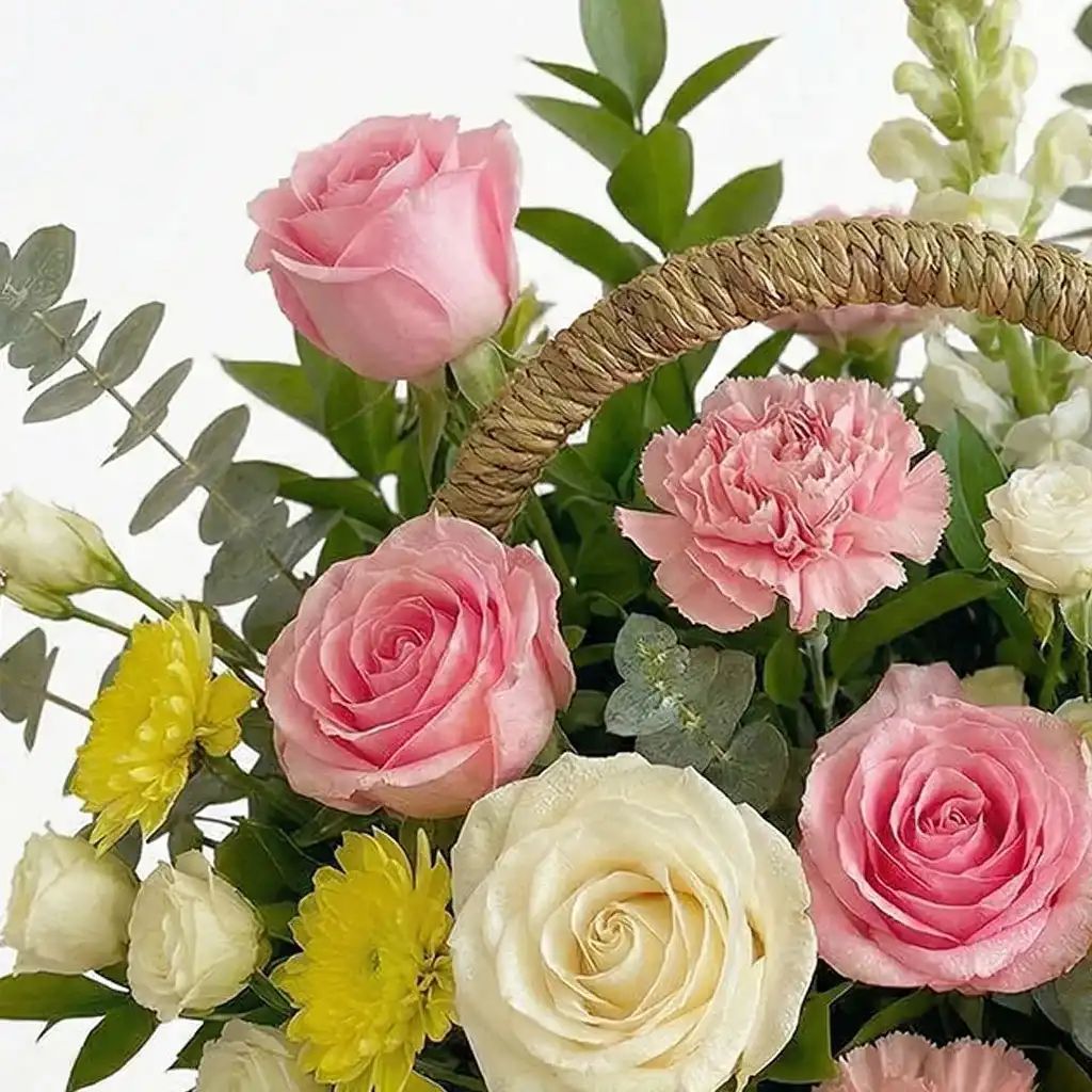Mother's Basket
