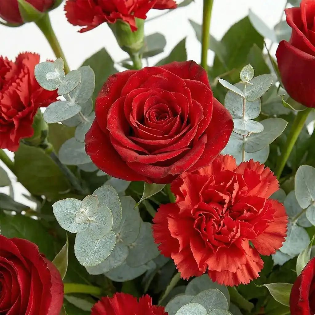 Scarlet Devotion