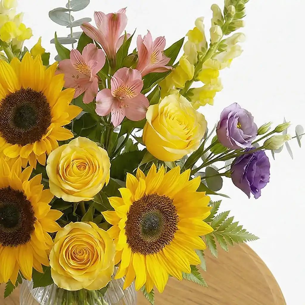 Sunflowers Spring