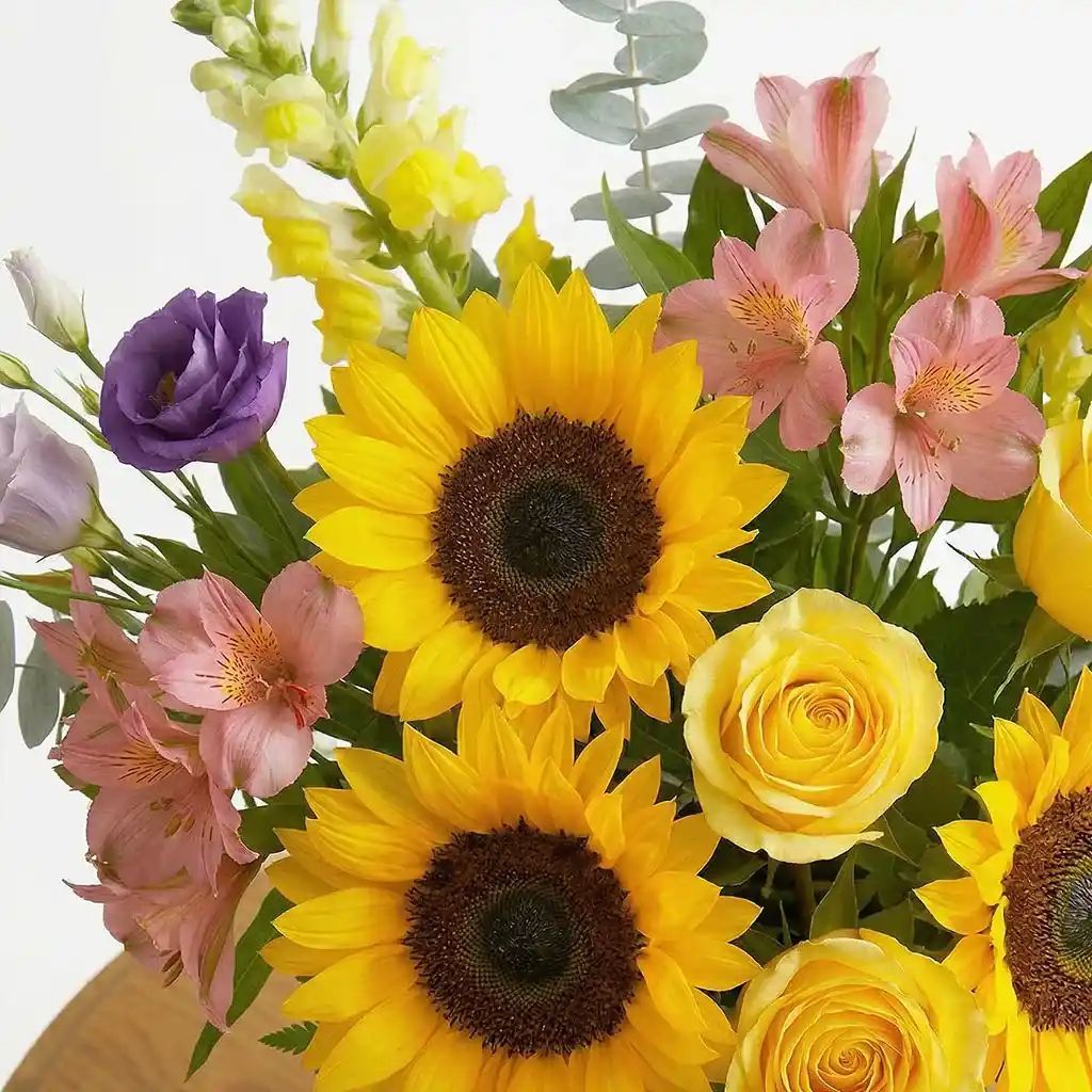 Sunflowers Spring