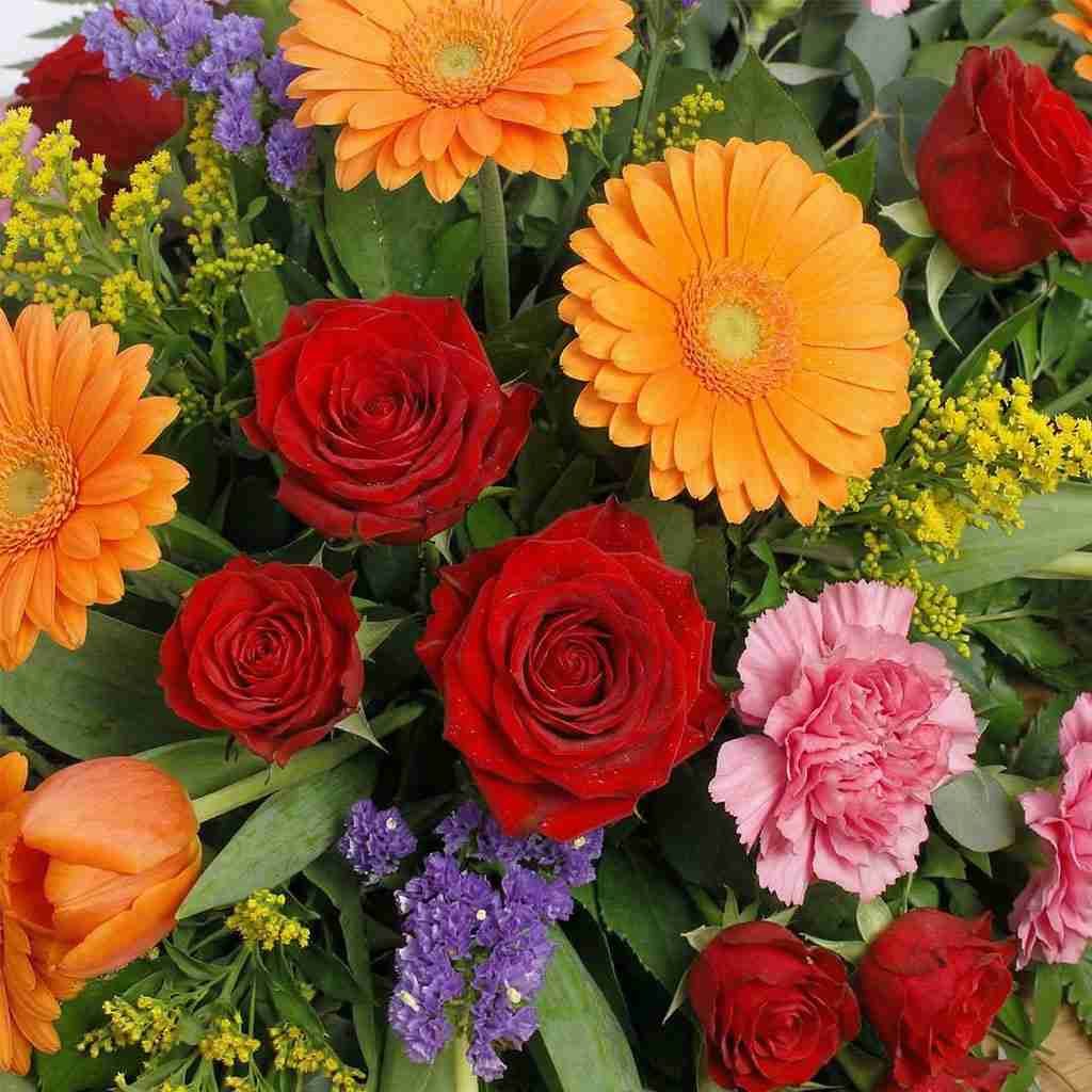 Vibrant Casket