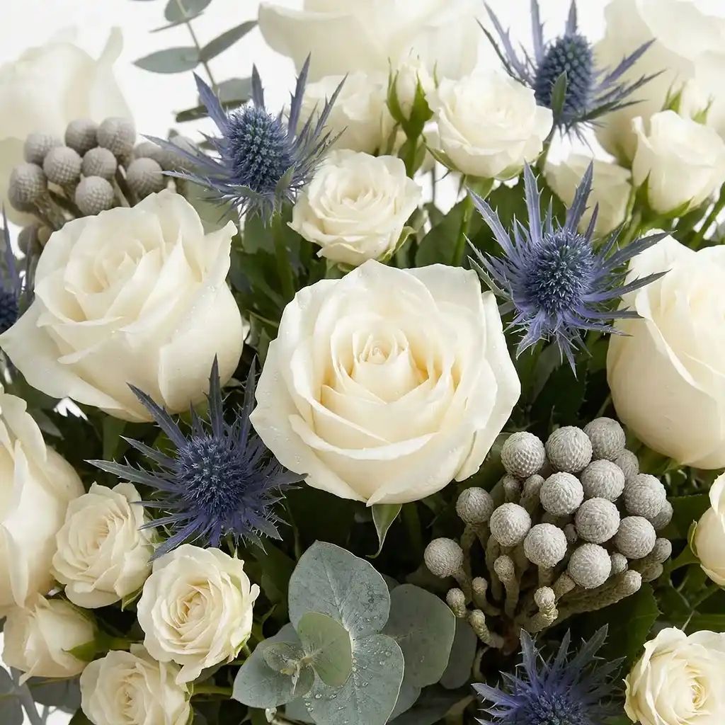 White Elegance