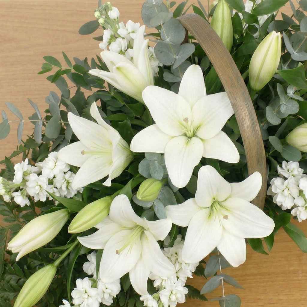 White Serenity Basket